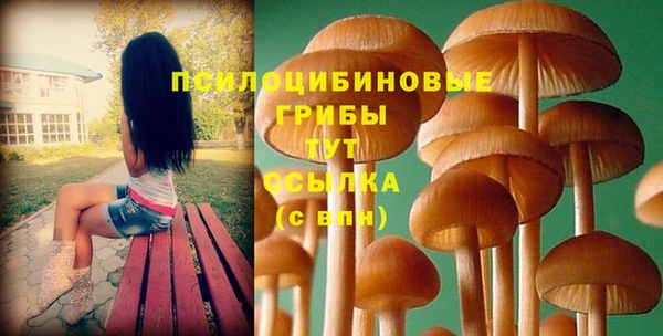 твердый Мегион