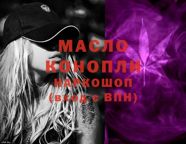 твердый Мегион