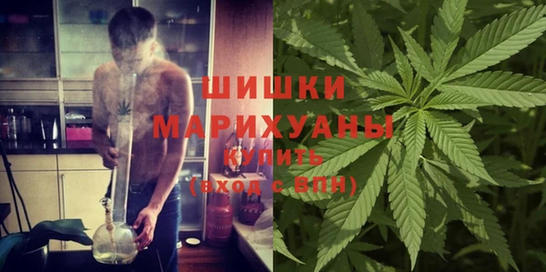 твердый Мегион