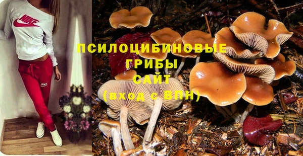 дживик Медвежьегорск