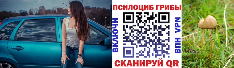 Купить закладки  Катав-Ивановск  Галлюциногенные грибы мухоморы 